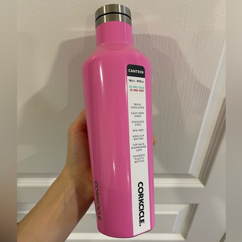 CORKCICLE pink water bottle
